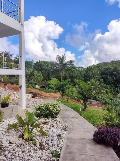 The Willow Apartment Ocho Rios Buitenkant foto