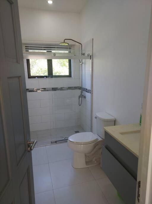 The Willow Apartment Ocho Rios Buitenkant foto