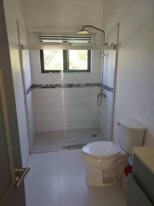 The Willow Apartment Ocho Rios Buitenkant foto