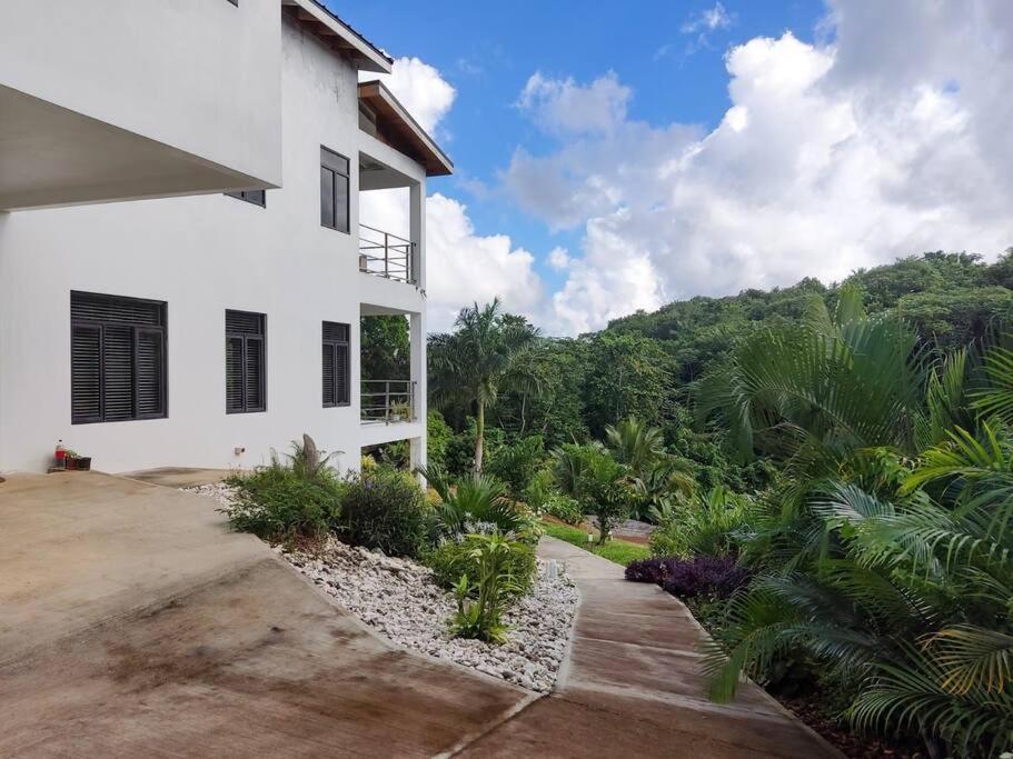 The Willow Apartment Ocho Rios Buitenkant foto
