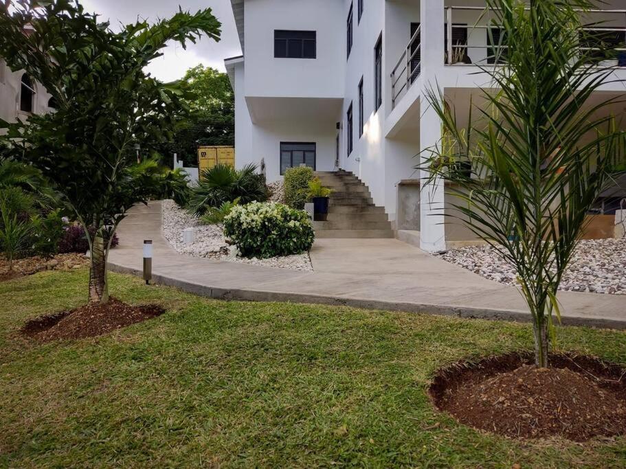 The Willow Apartment Ocho Rios Buitenkant foto