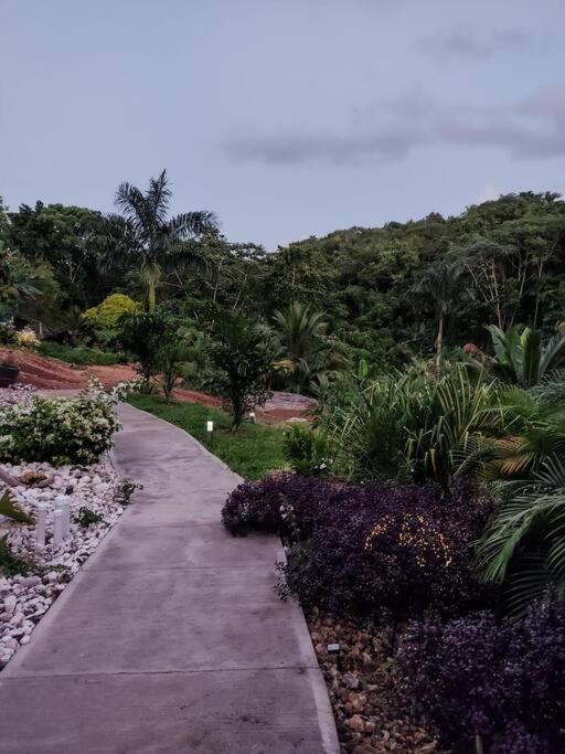 The Willow Apartment Ocho Rios Buitenkant foto