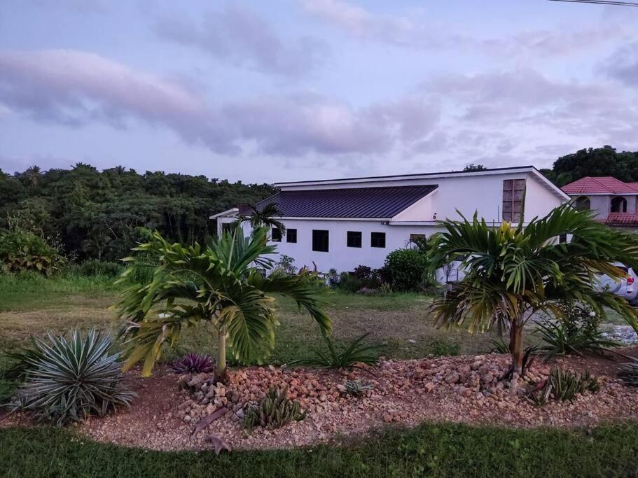 The Willow Apartment Ocho Rios Buitenkant foto