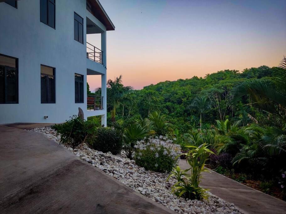 The Willow Apartment Ocho Rios Buitenkant foto